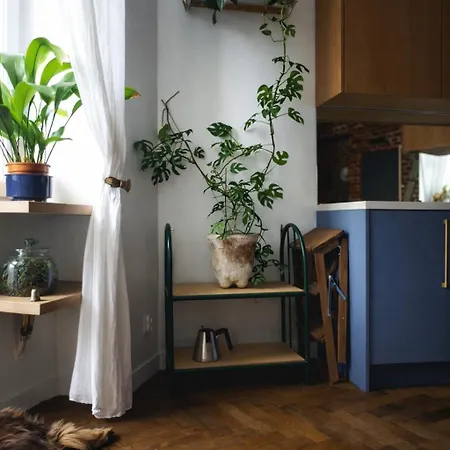Atelier Spokoju By Lookap
