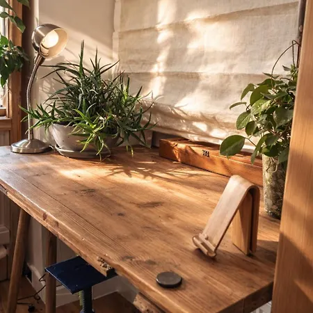 Atelier Spokoju By Lookap Łódź